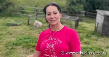 Bristol's 'last farmer' will have to leave Yew Tree Farm