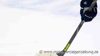 ERC Ingolstadt vorzeitig Sieger der DEL-Hauptrunde