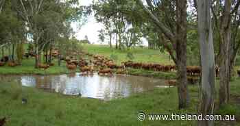 Border property Avondale offers delivers productivity with conservation