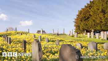 Cremation and burial fees to rise by 5%