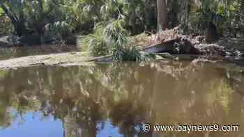 Some concerned about storm cleanup on Hillsborough River