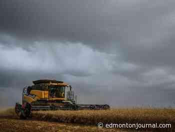 Alberta agriculture groups see some light in provincial budget