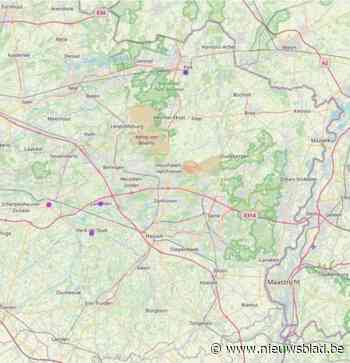 Blauwtong zorgt voor oversterfte bij lammetjes en kalfjes: prijs van jonge dieren schiet de hoogte in