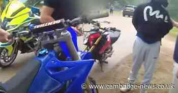 Speeding motorbike riders hit dog at Burghley Horse Trials