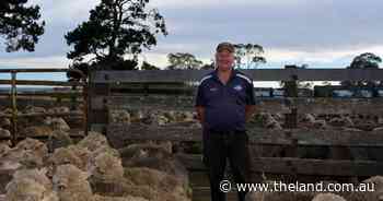 Faces at the 2025 Taralga Region Flock Ewe Competition | Photo Gallery