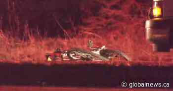 Psych assessment ordered for man charged with murder in alleged B.C. cyclist hit-and-run