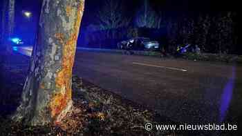 Porsche botst tegen boom in Hasselt: bestuurder overleeft klap niet