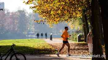 Sportplätze im Stadtpark verkommen – das soll sich jetzt ändern
