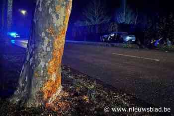 Bestuurder van Porsche sterft bij crash tegen boom in Hasselt