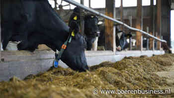 Eensgezind eiwitconvenant met ook afhakers