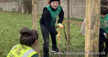 Families plant trees to make their neighbourhood greener