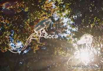 Videogenerator Sora beschikbaar in EU, was geduld een schone zaak?