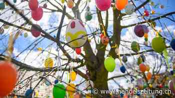 Nicht genügend Schweizer Eier für erhöhte Nachfrage