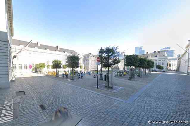 Vrouw moet voor rechter verschijnen na opruiende video op Tiktok over “satanische rituelen” bij Martelaarsplein