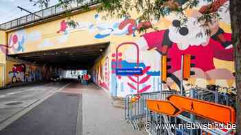 Aangepaste verlichting zet kunstwerk in tunnel Nekkerspoel extra in de kijker: “Ze brengt het ook in de avonduren tot leven”