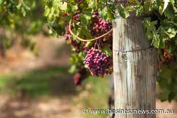 Cook pitches wine export boost