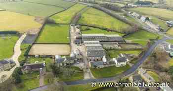 Jaw-dropping farm with equestrian centre, bar, sauna, and spiral staircase hits the market