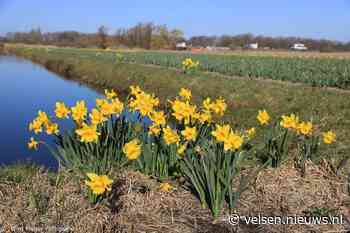 Maart naar verwachting droog en zacht