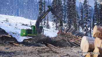 Alberta prepares as wildfire season begins