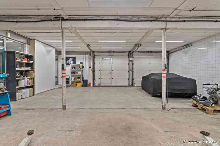 Raadplaatje! Welke exoot staat er in deze garage?