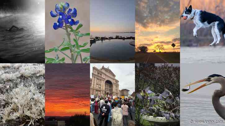 Photo of the Month poll: Help us choose the best viewer photo of February 2025