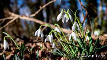 Reine Definitionssache: Der Frühling ist da - nur noch nicht in jeder Hinsicht