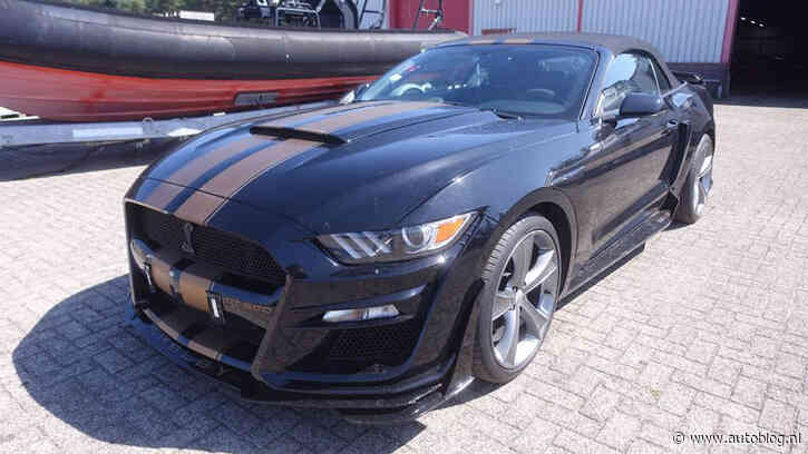 Deze Mustang bij Domeinen heeft helemaal in elkaar gezeten