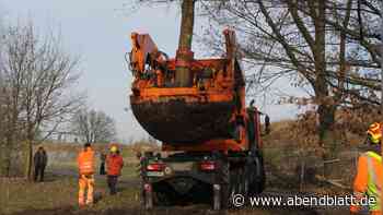 Monstermaschine in Aktion: Zehn Bäume weichen Neubauquartier
