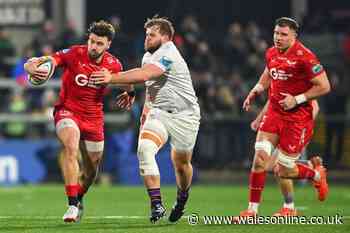 Scarlets' URC play-off hopes take a dent after late defeat