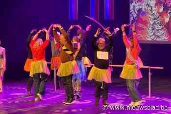 Lokale politici slaan potsierlijk figuur in tutu: Carnavalsraadszitting lacht met Jan en alleman