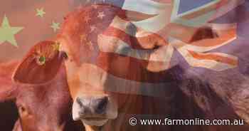 US and China make every decision of beef exporters a gamble at the moment