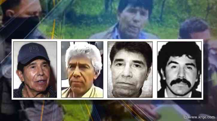 Extradition of 29 cartel leaders shows Mexico 'can do more'