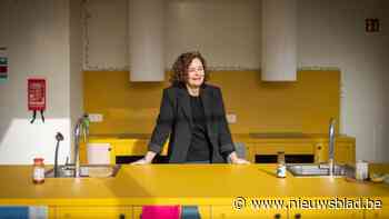 Kotmadam Mieke woont tussen studenten in Wilrijk: “Van lekkende kranen tot liefdesverdriet, ik zoek een oplossing”