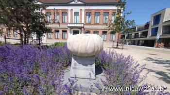 Tegeltuinen voortaan ook mogelijk bij wedstrijd Zet Kasterlee in de bloemetjes