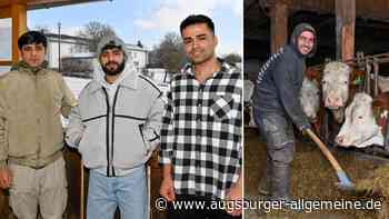 Trotz Arbeit und Integration: Der lange Weg zu dauerhaftem Asyl