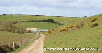 This lovely Dorset walk offers ever-expanding views