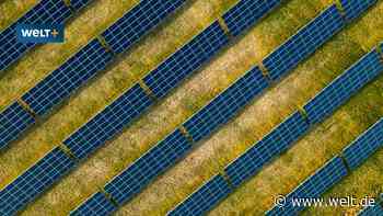 Wie eine Lobby von Superreichen Wind- und Sonnenenergie durchgeboxt hat