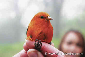 Hawaii’s wildlife refuges, national parks feel sting of federal cuts