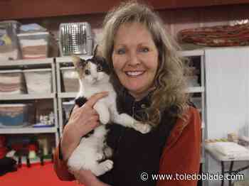 'Magnet for the sickest': Bowling Green woman has fostered kittens for 48 years