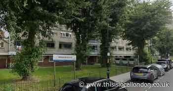 Man in his 20s stabbed during fight on estate in Southwark