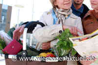 Mehrere Taschendiebstähle in der Wiesbadener Innenstadt