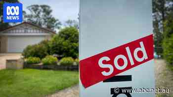 Rate cut pulls house prices out of their 'tailspin'