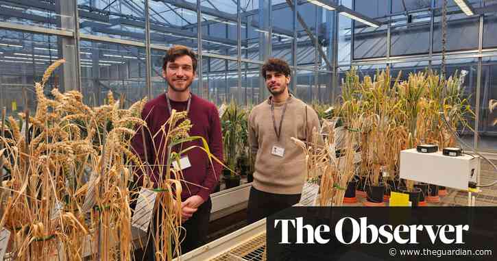 Mine copper without destroying the planet? London-based project gives scientists hope