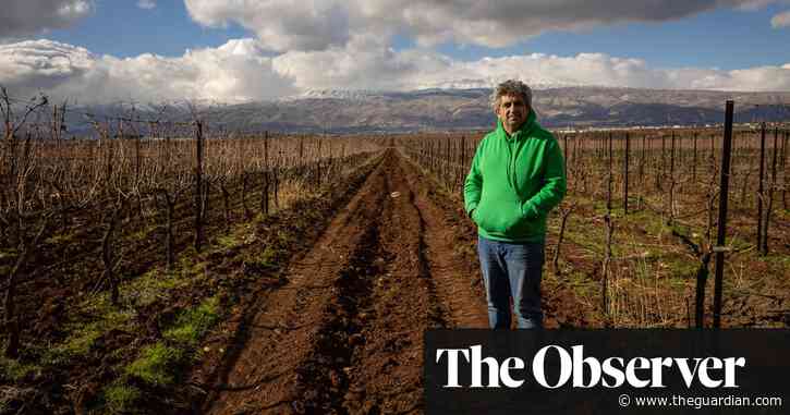 ‘The grapes won’t wait’: Lebanese winemakers fight to survive as war rages