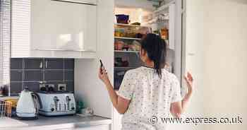 Energy saving fridge and freezer temperatures 'to slash bills'