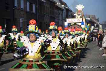IN BEELD. Zon van de partij op Bostroë carnaval