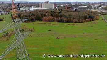Bund Naturschutz protestiert gegen Rodung des Klinikums-Parks