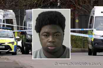 Machete killer of Newcastle teenager to be kicked out of UK