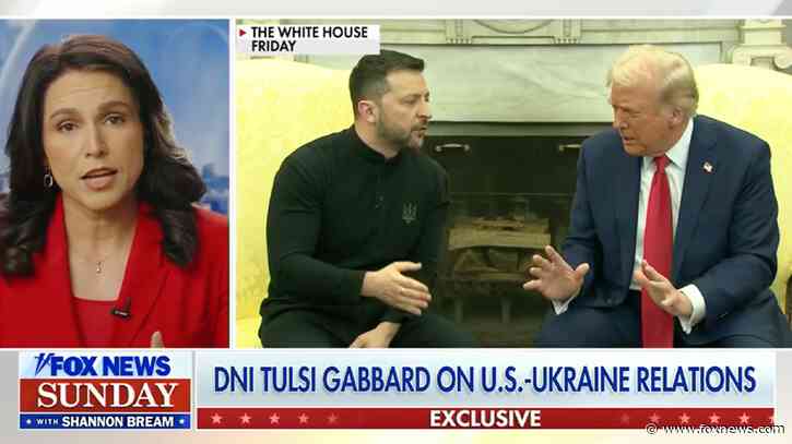 DNI Gabbard sounds off on Europe's 'divergence' from U.S. values after tense Trump-Zelenskyy meeting