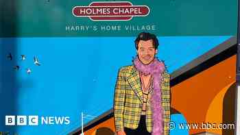 Harry Styles mural unveiled at his village station